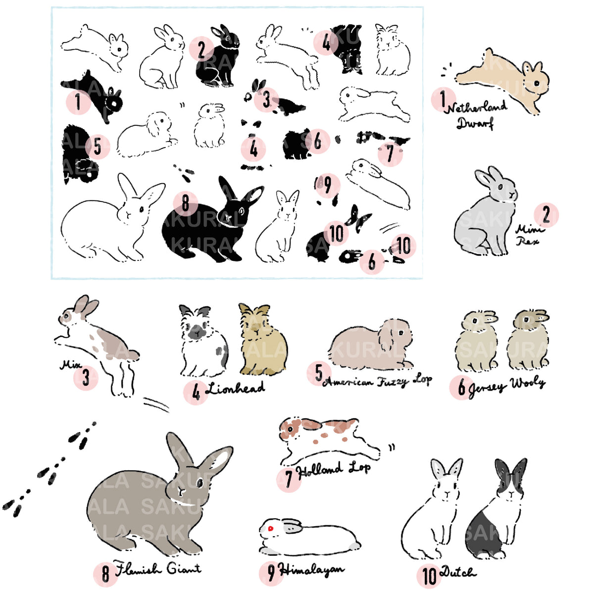 MSS-FluffyRabbit_3_1200x1200.